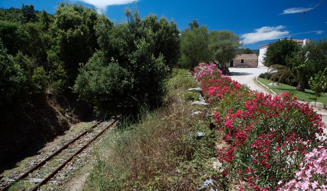 Hotel Valkarana Country Relais (Adults Only) Sant'Antonio di Gallura Exteriér fotografie