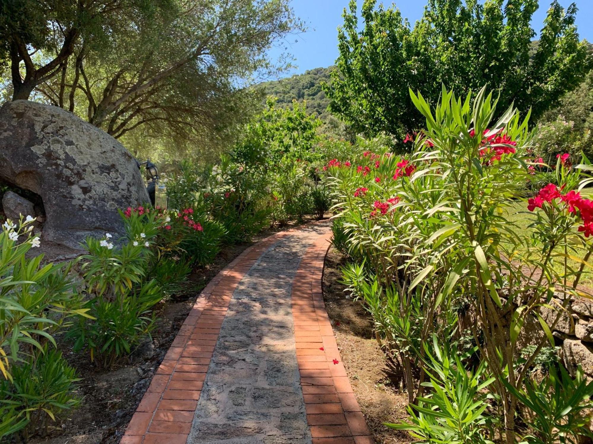 Hotel Valkarana Country Relais (Adults Only) Sant'Antonio di Gallura Exteriér fotografie